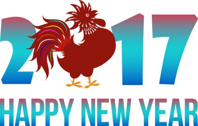   420ml 2017 Happy New Year