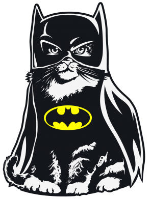   420ml Cat Batman