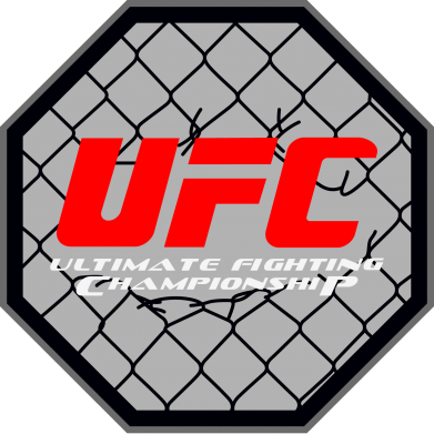     V-  UFC Cage