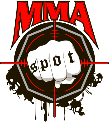   320ml MMA Spot
