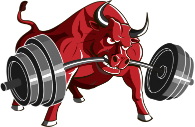   Bull with a barbell