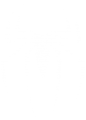    V-  Spider Man Logo