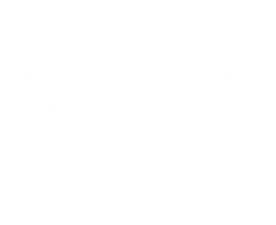  Ƴ   V-  Venom Silhouette
