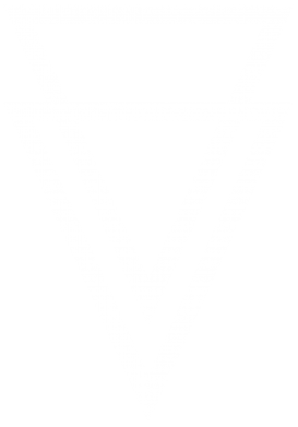  Ƴ   V-  Triangles