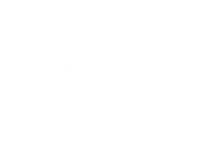     V-  Need For Speed Logo