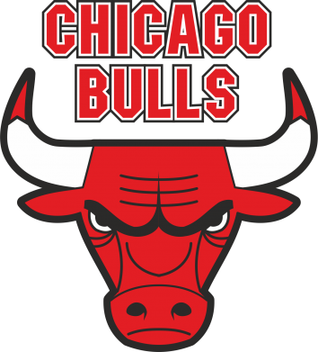   420ml Chicago Bulls vol.2