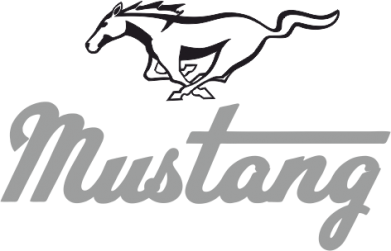     V-  Ford Mustang