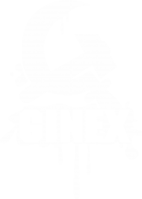     V-  Ginex Rap