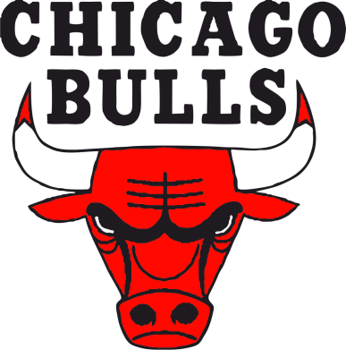   320ml Chicago Bulls