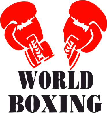   320ml World Boxing