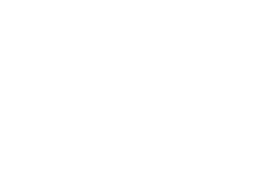     V-  Nissan Logo