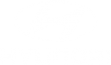     V-  Hyundai Small
