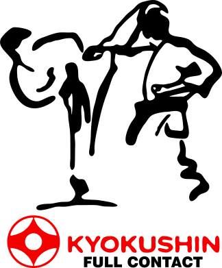   320ml Kyokushin Full Contact