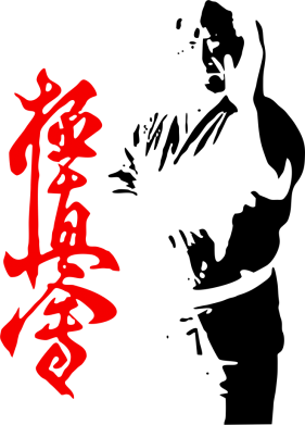   420ml Kyokushin Kanku Master