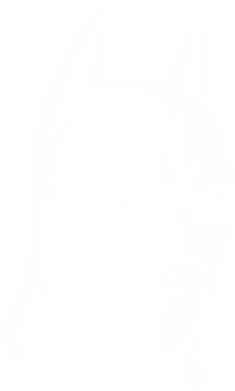     V-  Batman Hero
