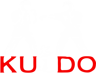  Ƴ   V-  Kudo Fight