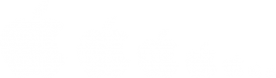     V-  Apple Evolution