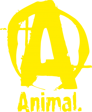  Ƴ   V-  Animal