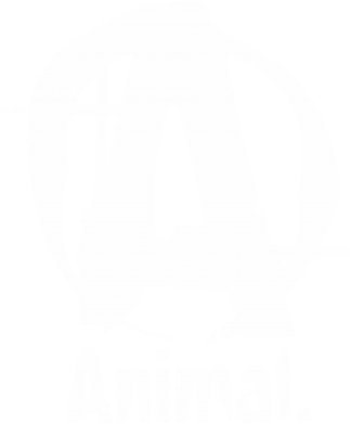  Ƴ  Animal