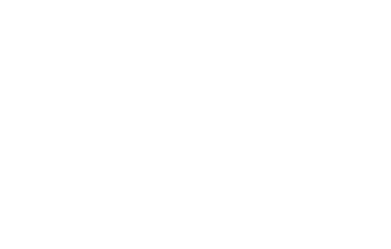  Ƴ   V-  Taekwondo