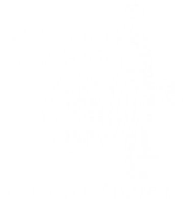     V-  Train Hard or Go Home