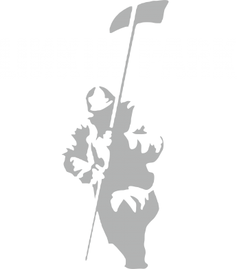   Linkin Park Album