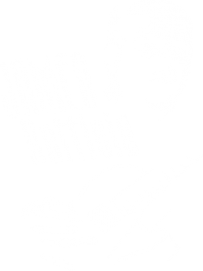   James Hetfield