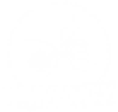     V-  The Prodigy 