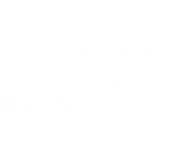   Drumm Bass