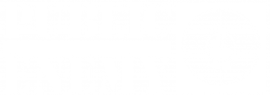     V-  Public Enemy
