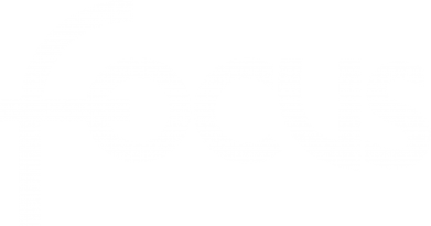      V-  Focus
