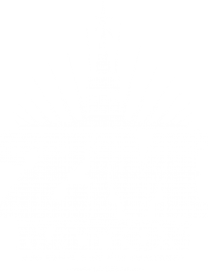   ZM Nation GUf