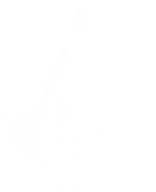    V-  Assassin's Creed Misfit