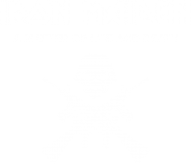     V-  Iron Maiden