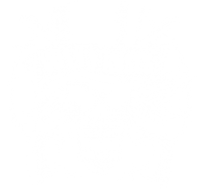  Ƴ   Guns n' Roses Logo