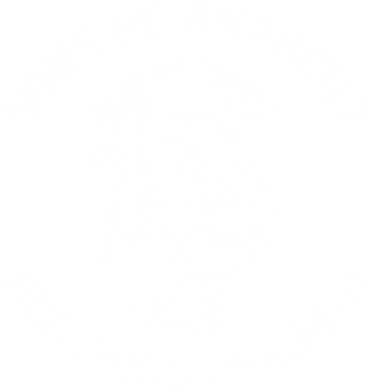     V-  Sons of Anarchy