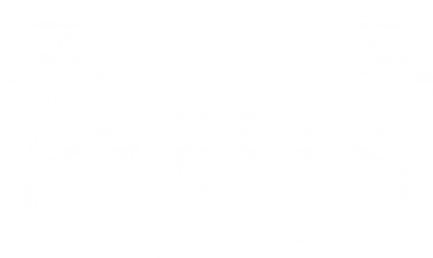     V-  Africa Club
