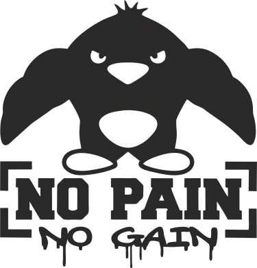  Ƴ  No pain no gain 