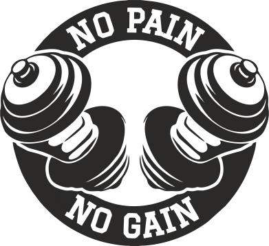   320ml No pain no gain 