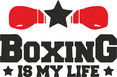  Ƴ   V-  Boxing is my life