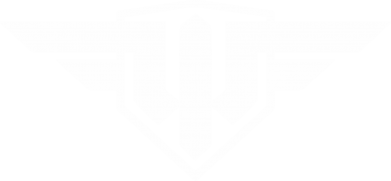     V-  World of Warplanes Logo