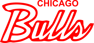   420ml Bulls from Chicago