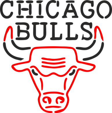   420ml Chicago Bulls Logo