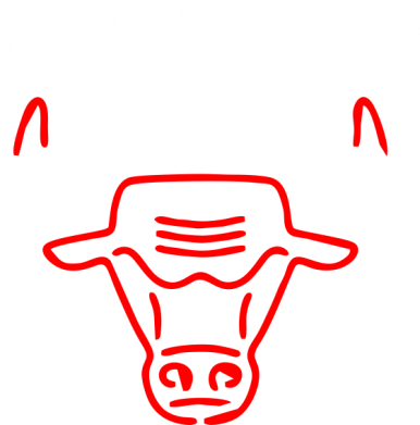  Ƴ  Chicago Bulls Logo