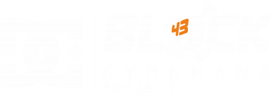  Ƴ   Ken Block Gymkhana Project