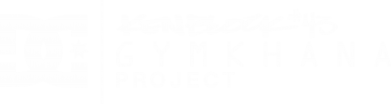      Gymkhana Project Ken Block