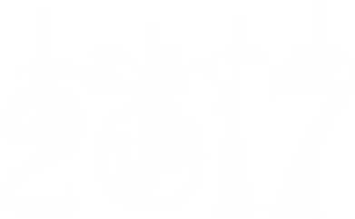  Ƴ   Rooster 2017