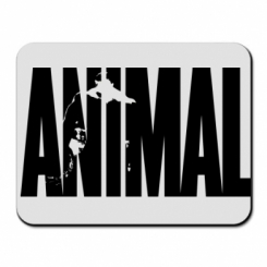     Animal Gym