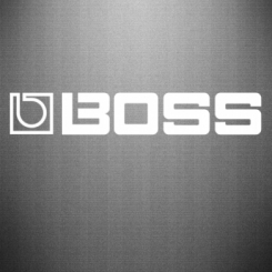   Boss audio