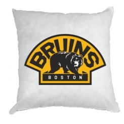  Boston Bruins